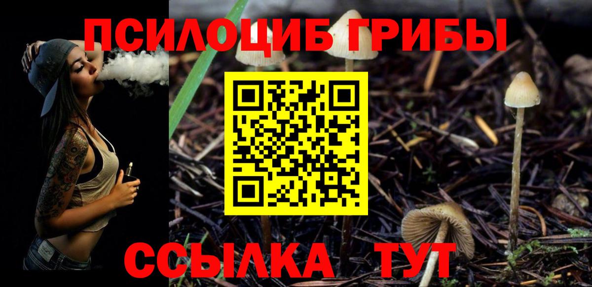 Галлюциногенные грибы Cubensis Бахчисарай