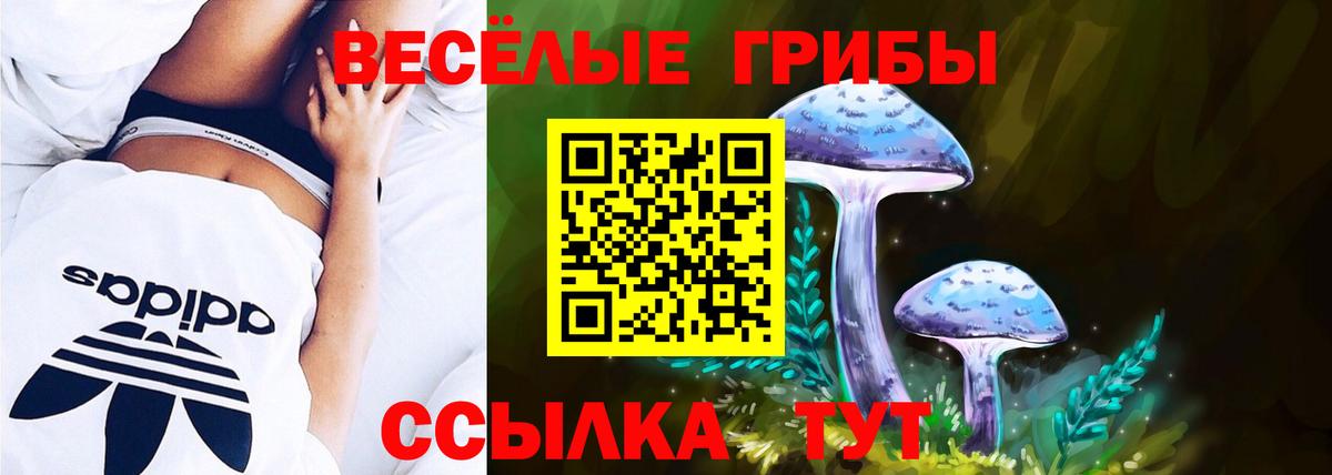 Бахчисарай  Псилоцибиновые грибы ЛСД  Вход с VPN 